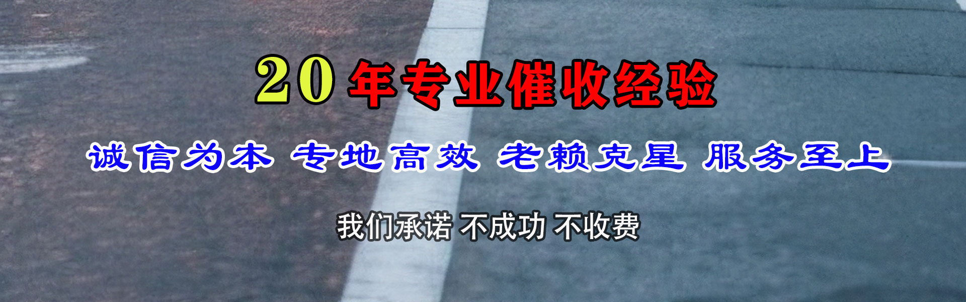 黄浦讨数公司